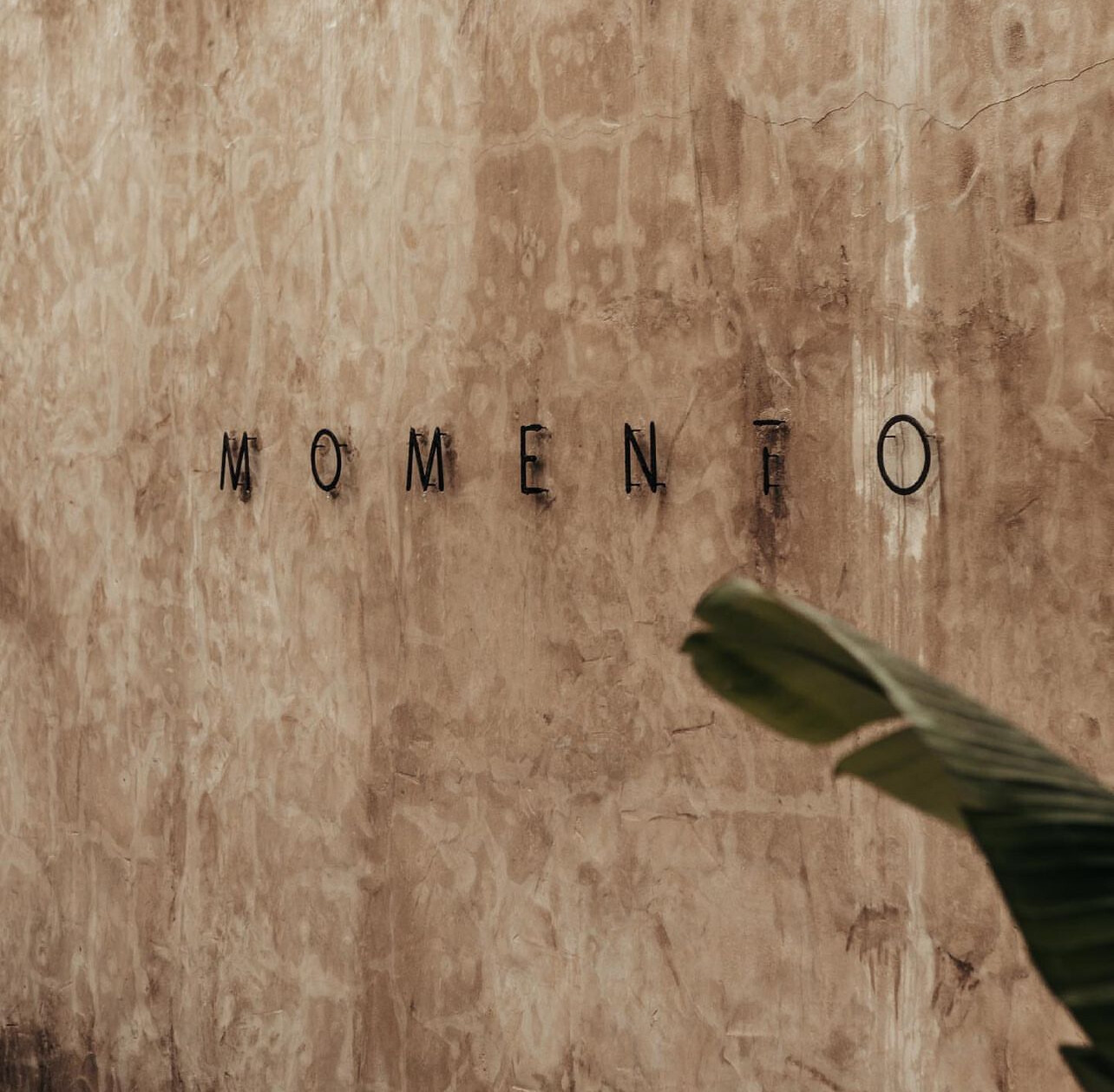 Read more about the article Momento