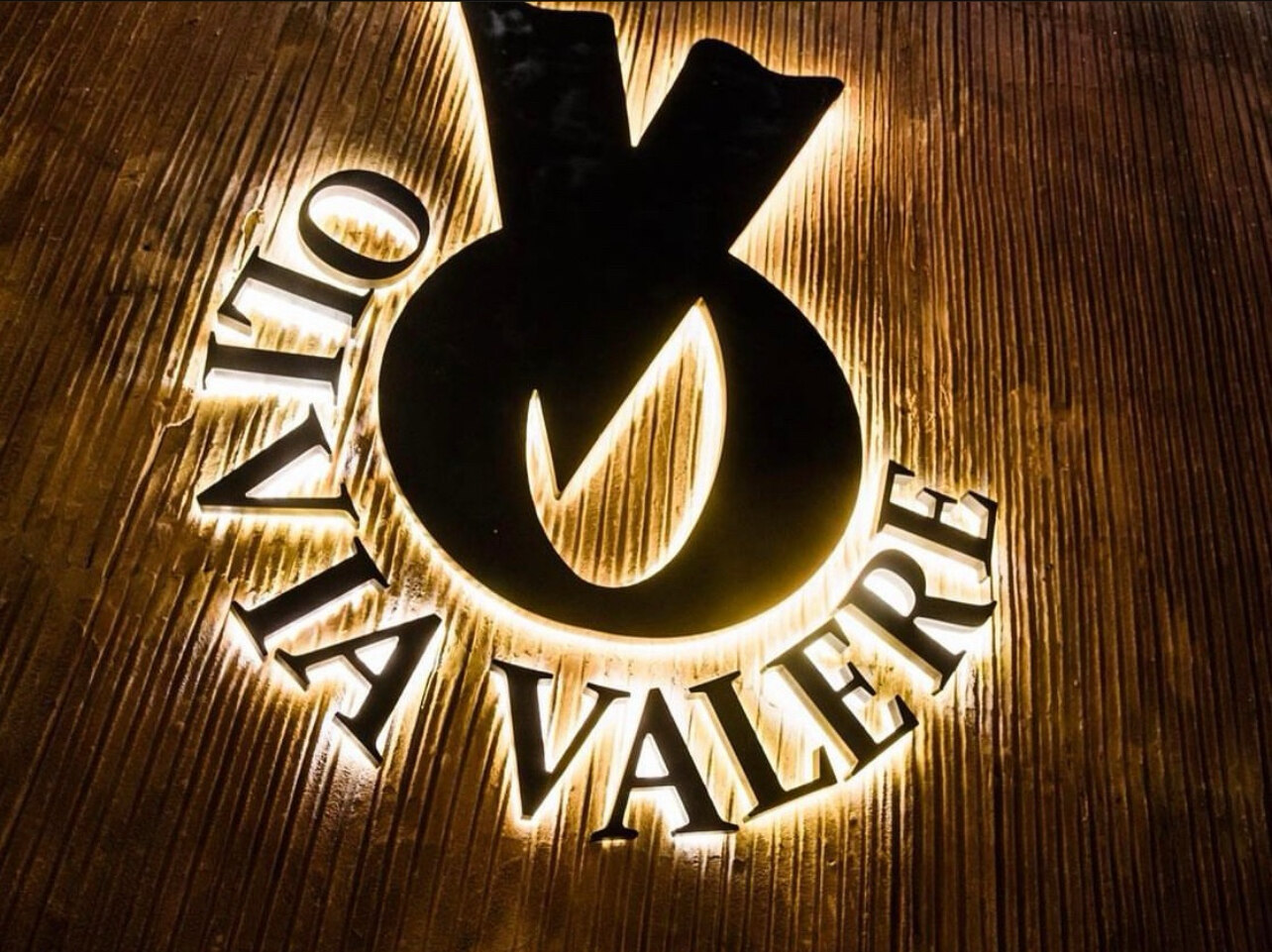 Read more about the article Olivia Valere